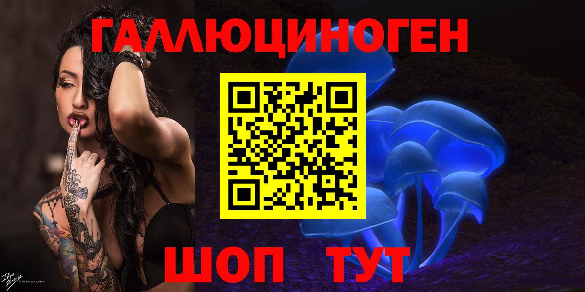 Вольск  Псилоцибиновые грибы Psilocybe  Вход с VPN 