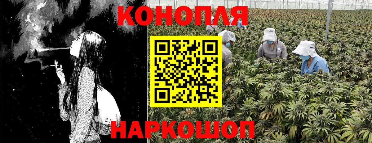 Бошки марихуана ГИДРОПОН Вольск